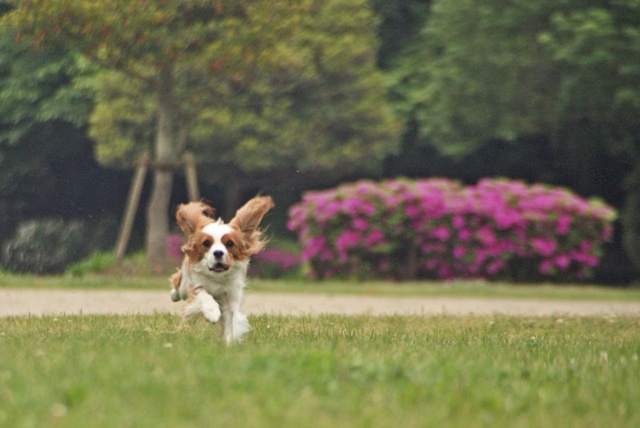 20120502_062.jpg
