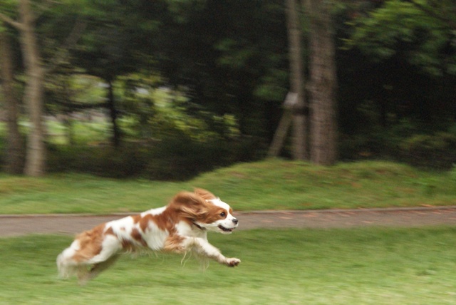 20120502_068.jpg