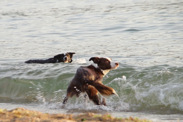 20120513_064.jpg