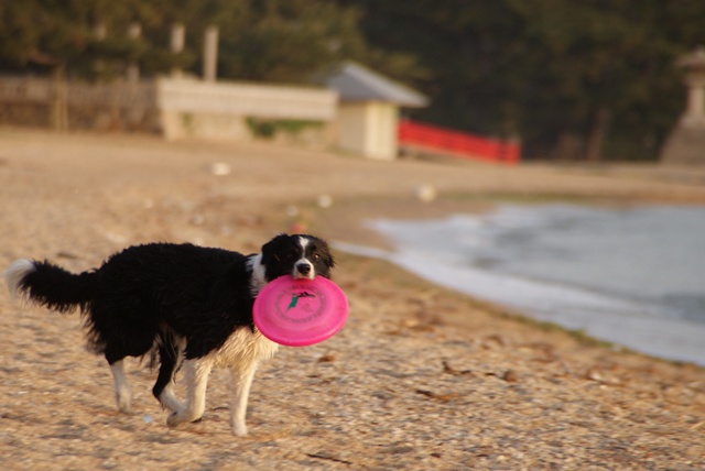 20120513_108.jpg