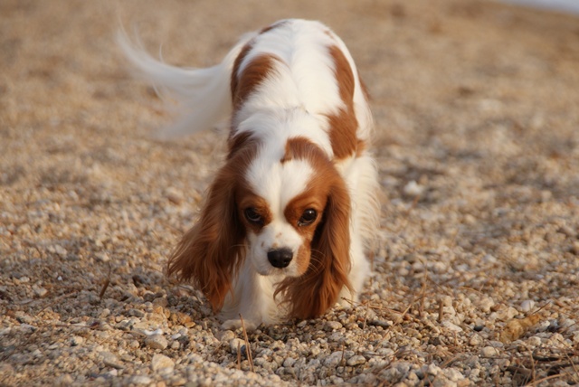20120513_171.jpg