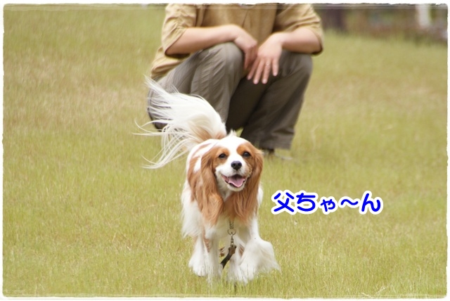 20120513_277.jpg