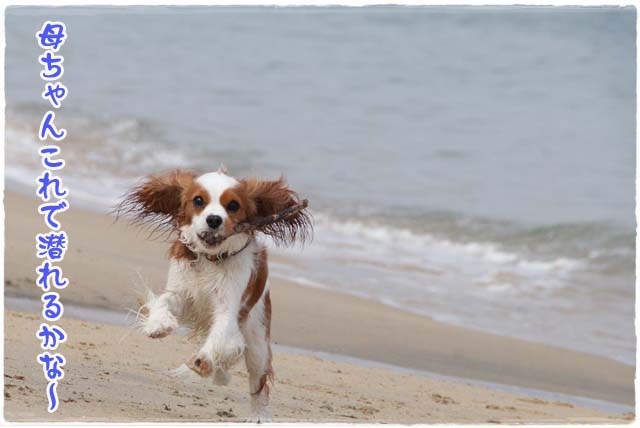 20120601_205.jpg