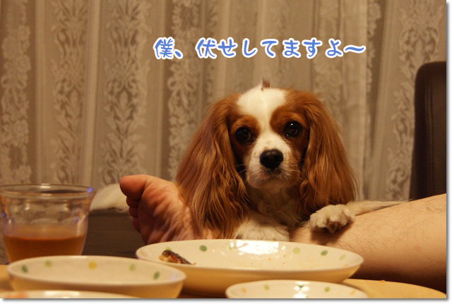 20120711_001.jpg