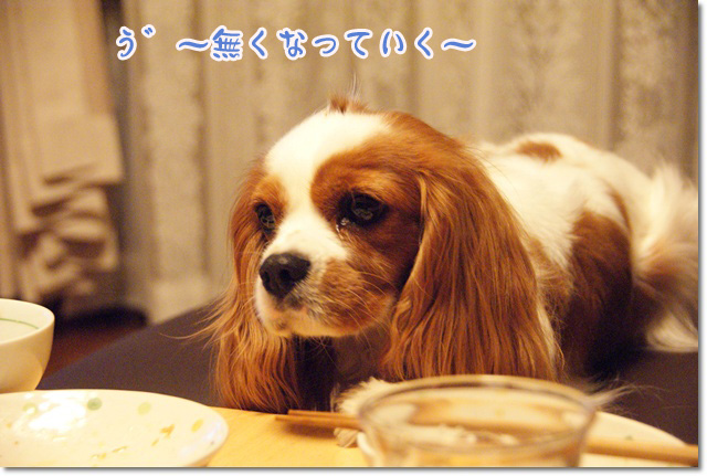 20120711_003.jpg