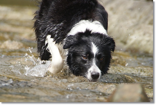 20120722_065.jpg