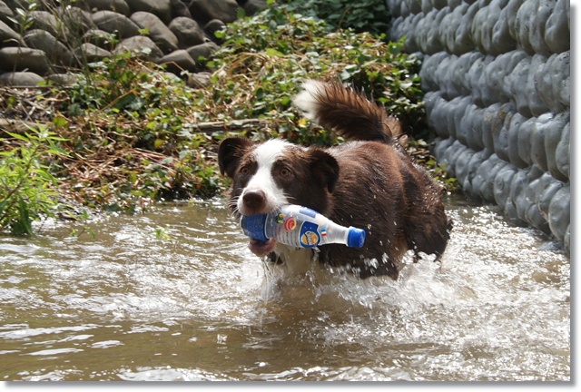 20120722_114.jpg