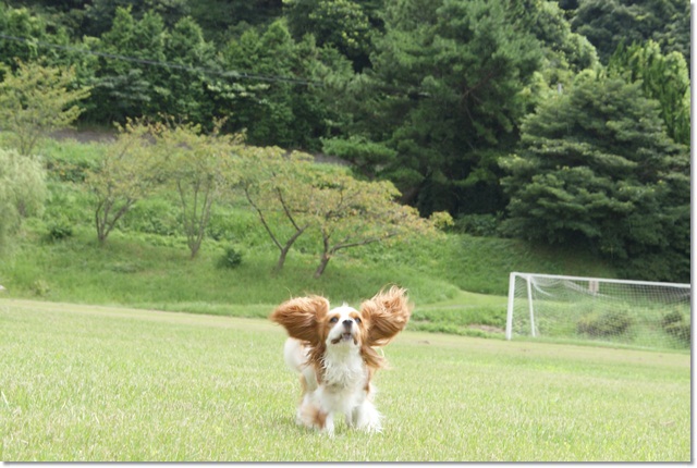 20120831_068.jpg
