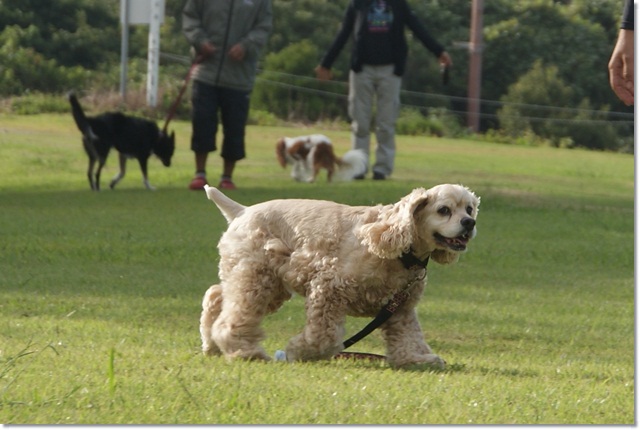 20120923_121.jpg