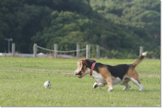 20120923_138.jpg