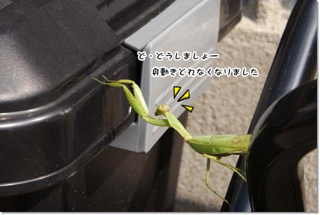 20121015_020.jpg