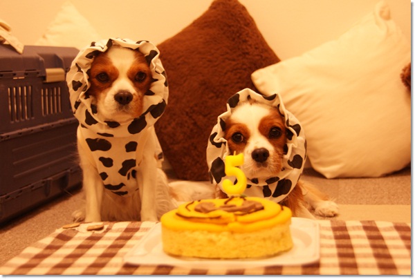 20121021_154.jpg