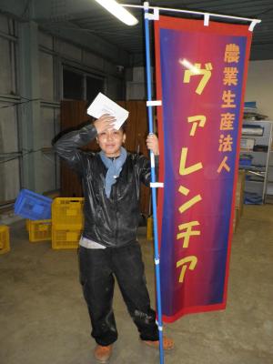 バルサカラーのヴァレンチア旗