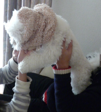 P1150129.jpg