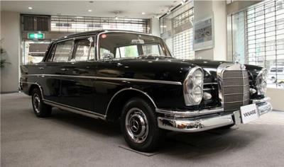 300_SE_lang_W112.jpg