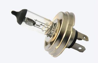 H5_H4E_bulb.jpg