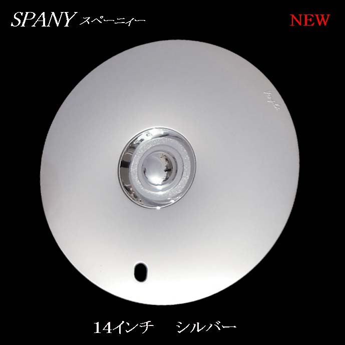 SPANYシルバー