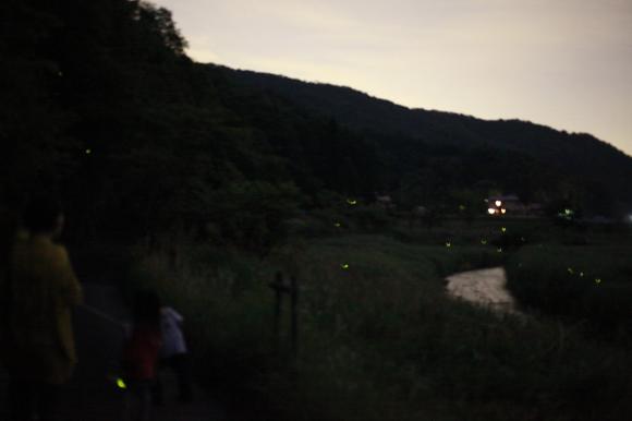 _MG_8581_convert_20120626032344.jpg