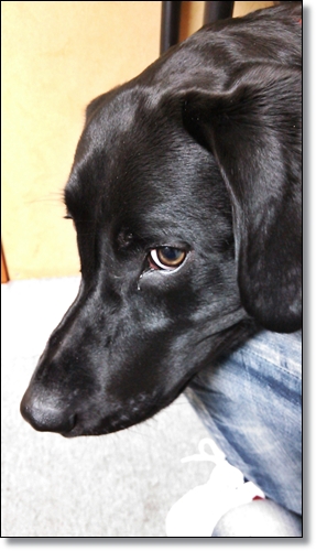 20130320.jpg