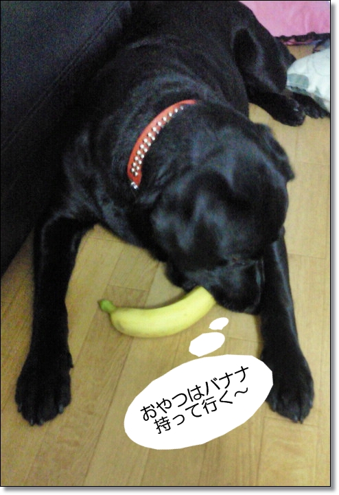 バナナ持って行く!
