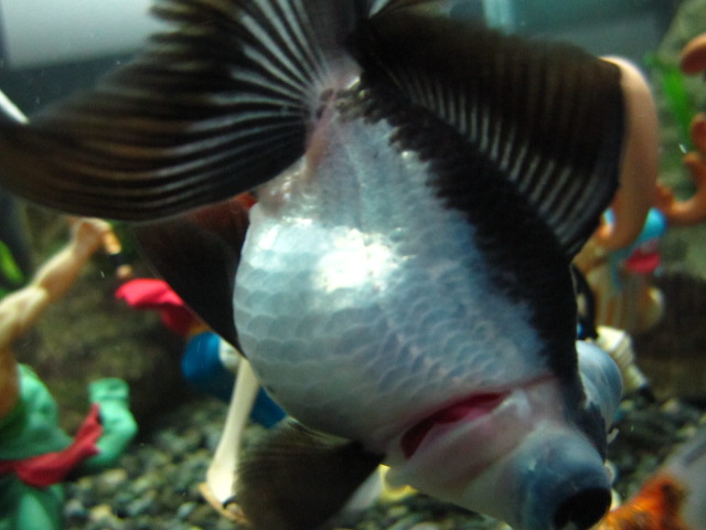 IMG_7086.jpg