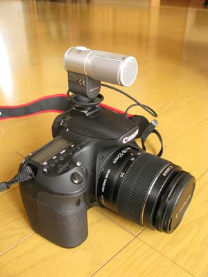 Canon-60D-09.jpg