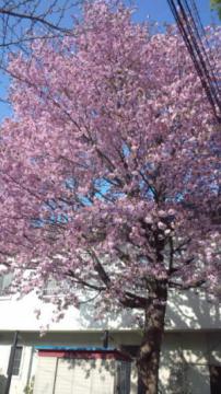 20120503-04.jpg