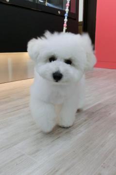 20120504-06.jpg