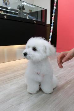 20120504-07.jpg
