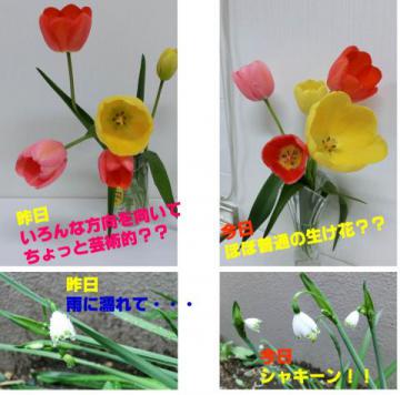 20120506-01.jpg