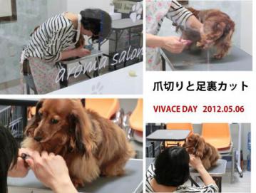 20120506-02.jpg