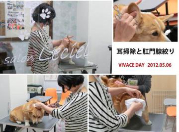 20120506-03.jpg