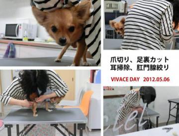 20120506-04.jpg