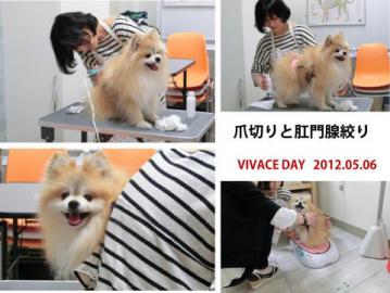 20120506-05.jpg