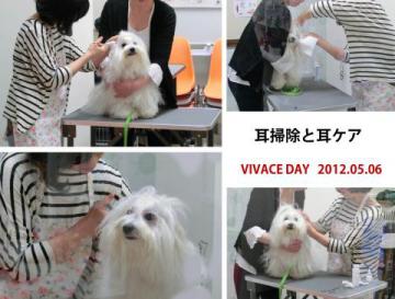 20120506-06.jpg