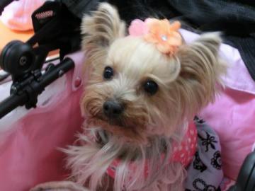 20120512-09.jpg