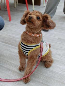 20120517-03.jpg