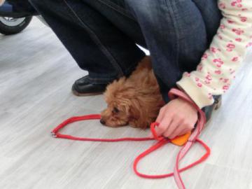 20120517-05.jpg