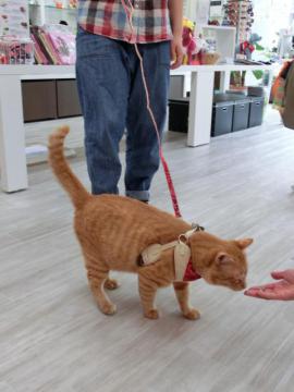 20120530-03.jpg