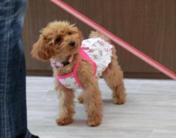 20120601-02.jpg