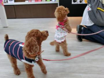 20120601-03.jpg