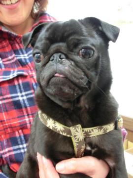 20120601-07.jpg