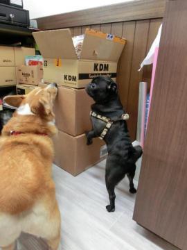 20120601-08.jpg