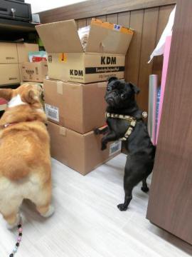 20120601-09.jpg