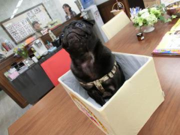 20120601-10.jpg