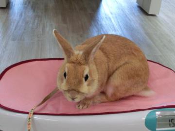 20120602-03.jpg
