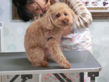 20120603-06.jpg
