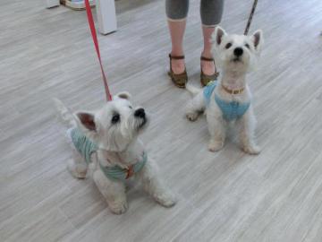 20120603-11.jpg