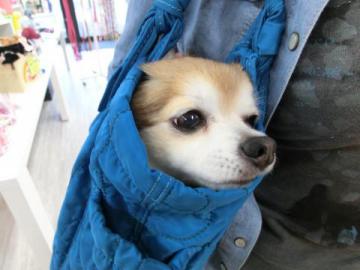 20120704-02.jpg