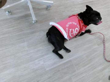 20120704-05.jpg